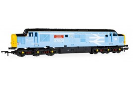 R30545TXS Class 37 Co-Co - 37501 "Teesside Steel Master - Sound Fitted OO Gauge